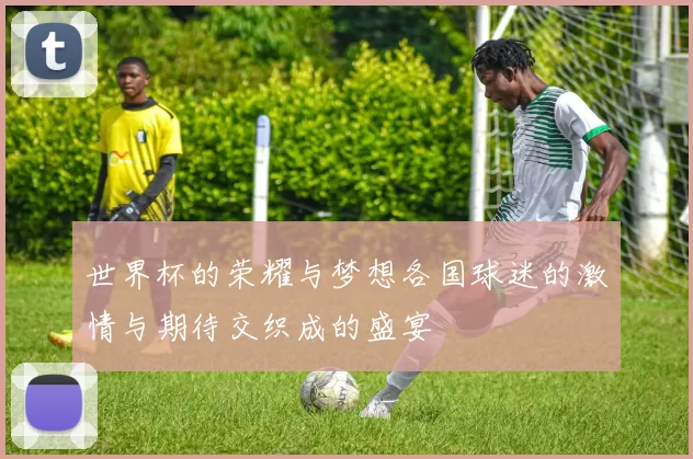世界杯的荣耀与梦想各国球迷的激情与期待交织成的盛宴