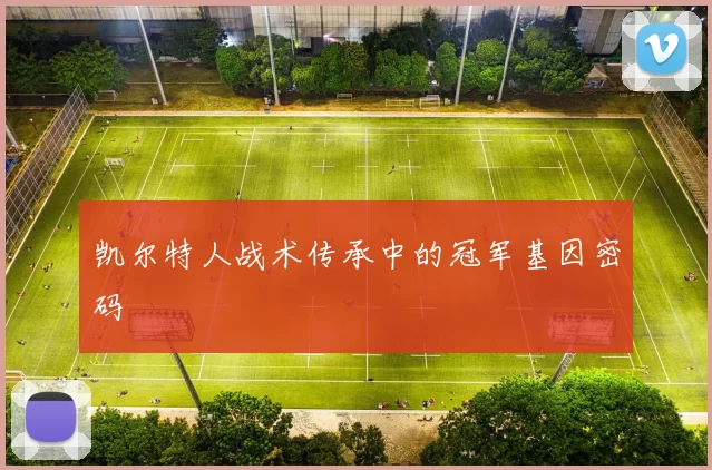 凯尔特人战术传承中的冠军基因密码