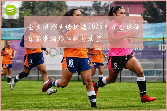 全力拼搏共铸辉煌2025年度全球体育赛事精彩回顾与展望
