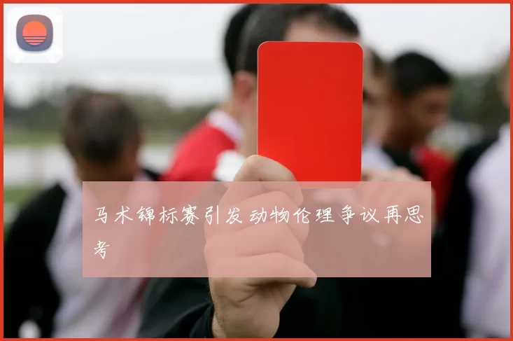 马术锦标赛引发动物伦理争议再思考