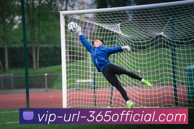 beat365首页服务体系